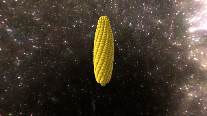 La costellazione del mais 3D Model