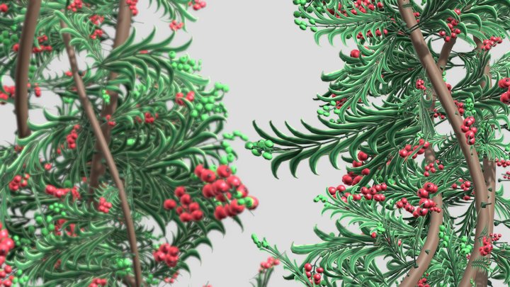Red and green wreath 3D Model