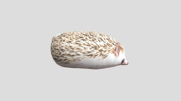 Хренобус блоп топ(fan) 3D Model