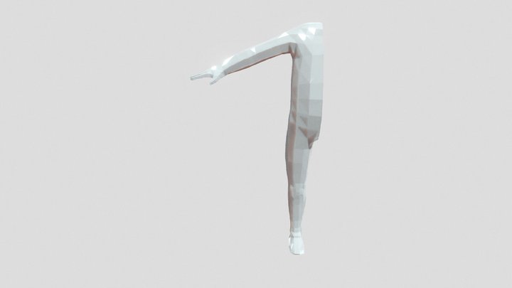Half Body 3D Model