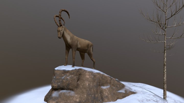 Ibex textured