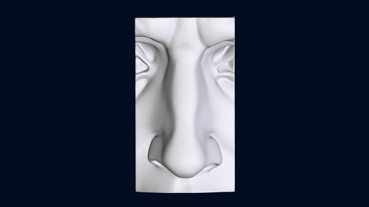 Michelangelo*s david nose 3D Model