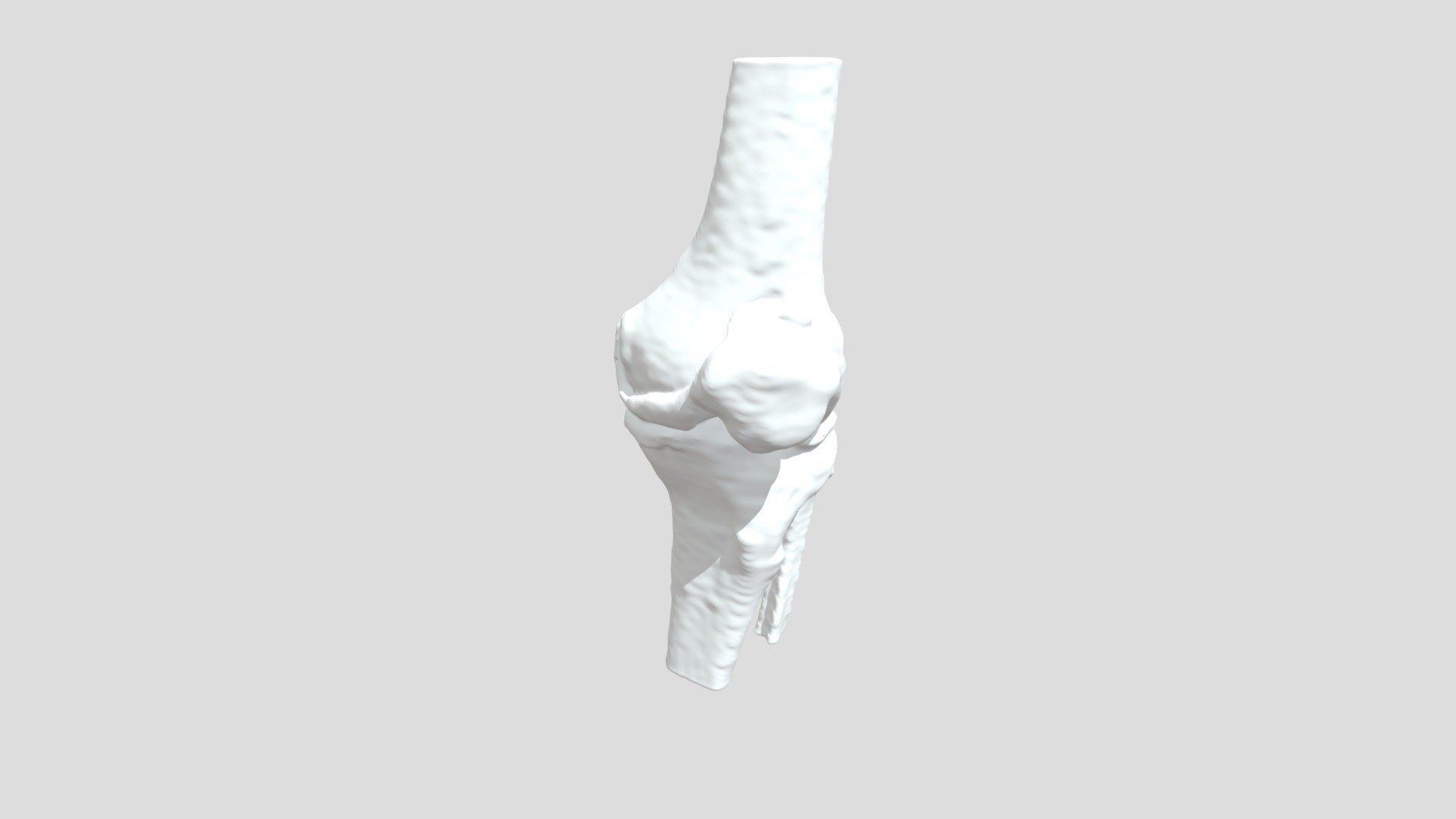 Segmentation Pa Da Ltbone - Download Free 3D model by curisdata.science ...