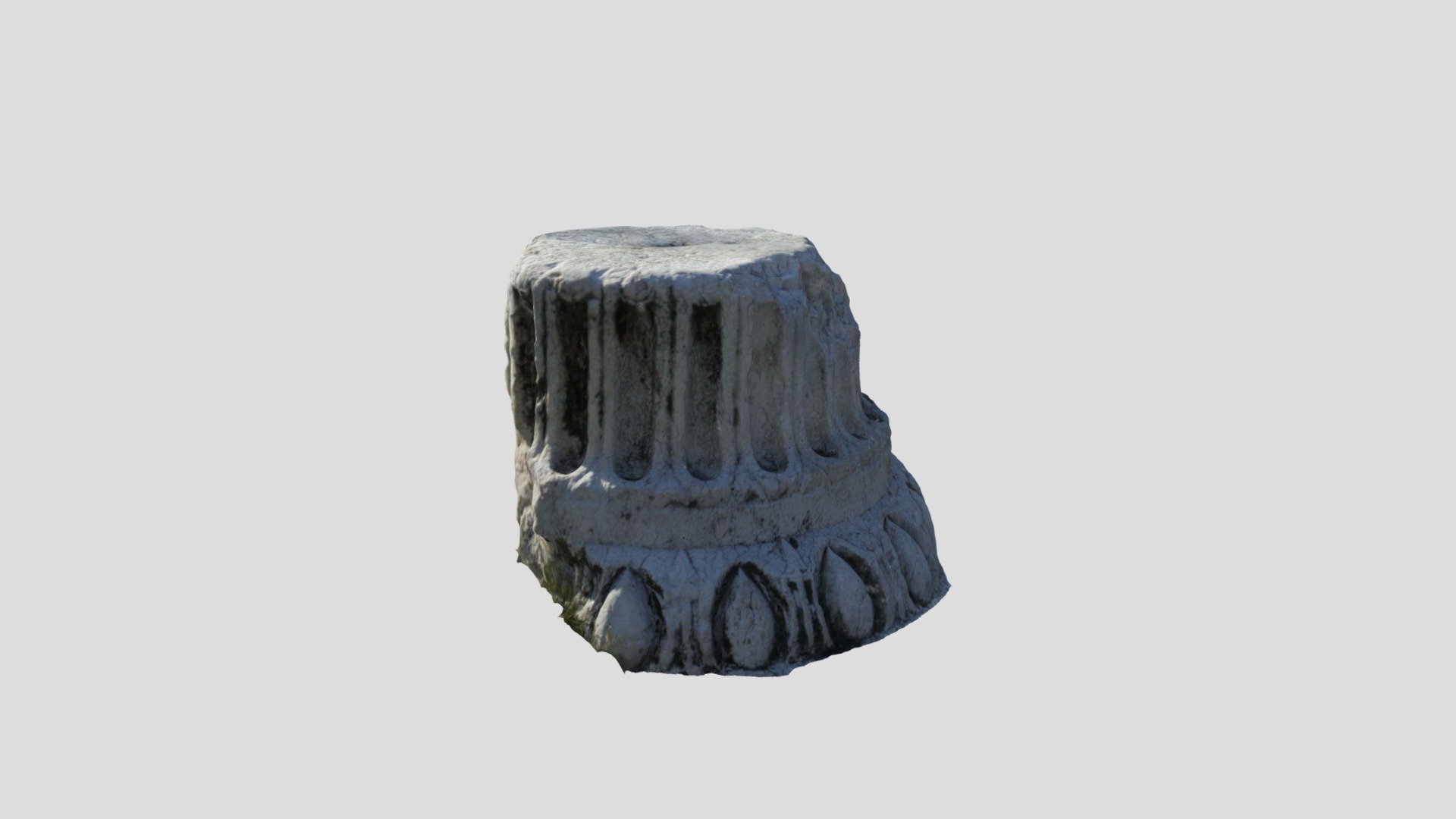 MESHROOM_CHAPITER_PROCESSED