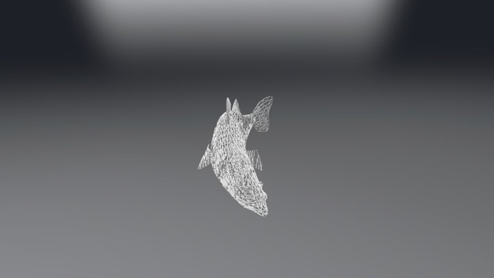 Fish 09 3D Model