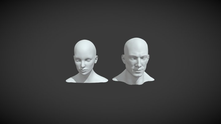 Male & Female Head Realistic Base Mesh 3D Model 3D Model