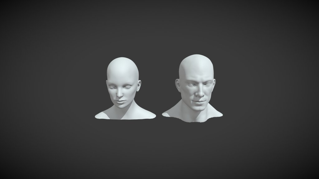 3D Head Models - A 3D model collection by wadademelon - Sketchfab