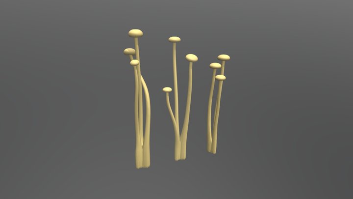 Enoki 3D Model