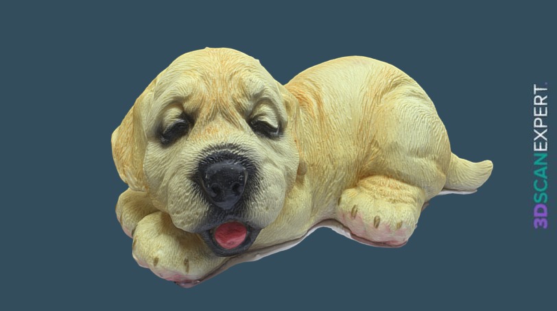 Dog Figure — Foldio360 + Photoscan (High) - 3D model by 3D Scan Expert ...