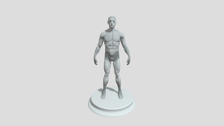 Anatomic_Manstyle 3D Model