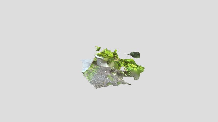 Engagement Project 3D Model