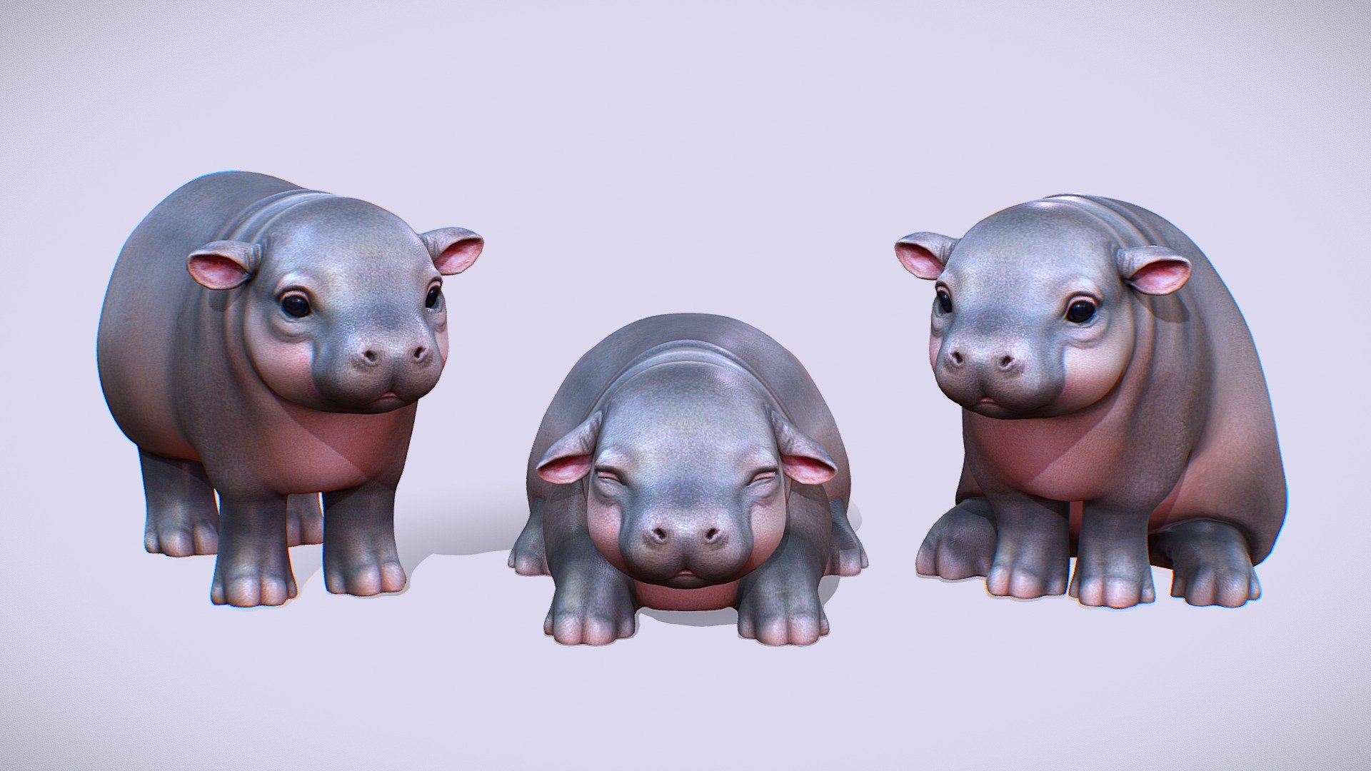 Hippopotamus 3D models - Sketchfab