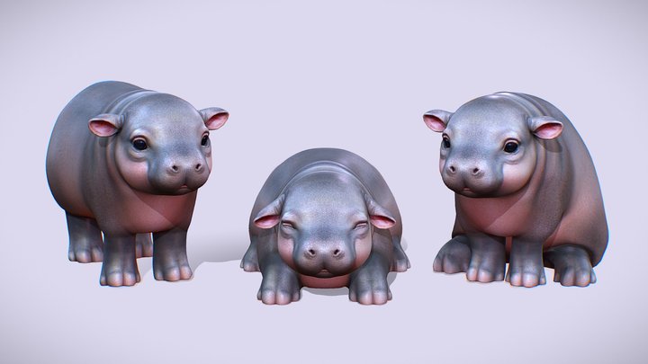 Pygmy Hippo 3D Model