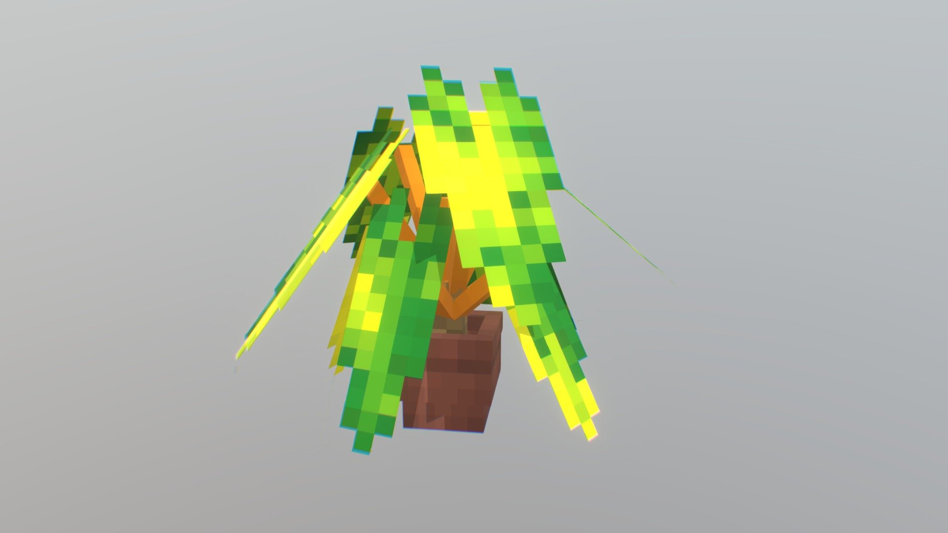 Philodendron billietiae Croat - 3D model by Plum_Sake [0b020c0] - Sketchfab