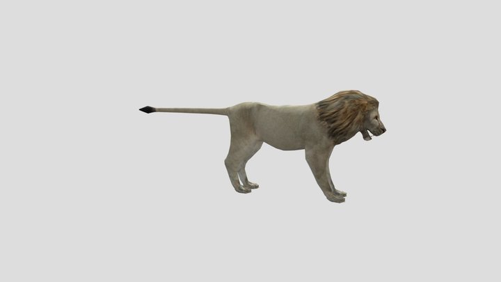 lion 3D Model