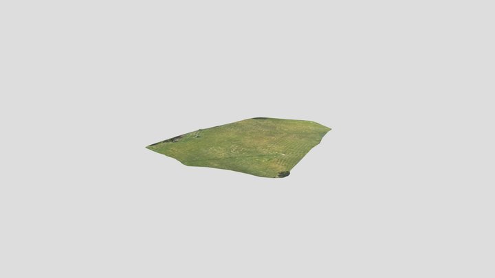 Nature scan with drone 3D Model