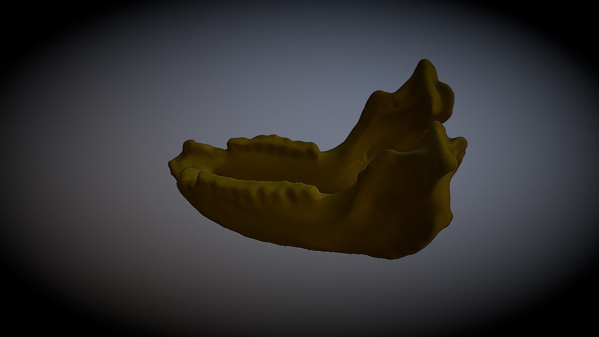 Ancient rhynoceras