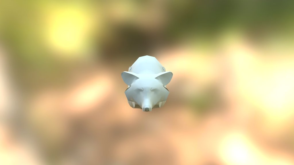 Raccoon Turned Into Stone