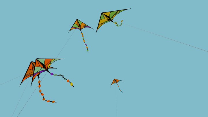 Kite Festival 3D Model