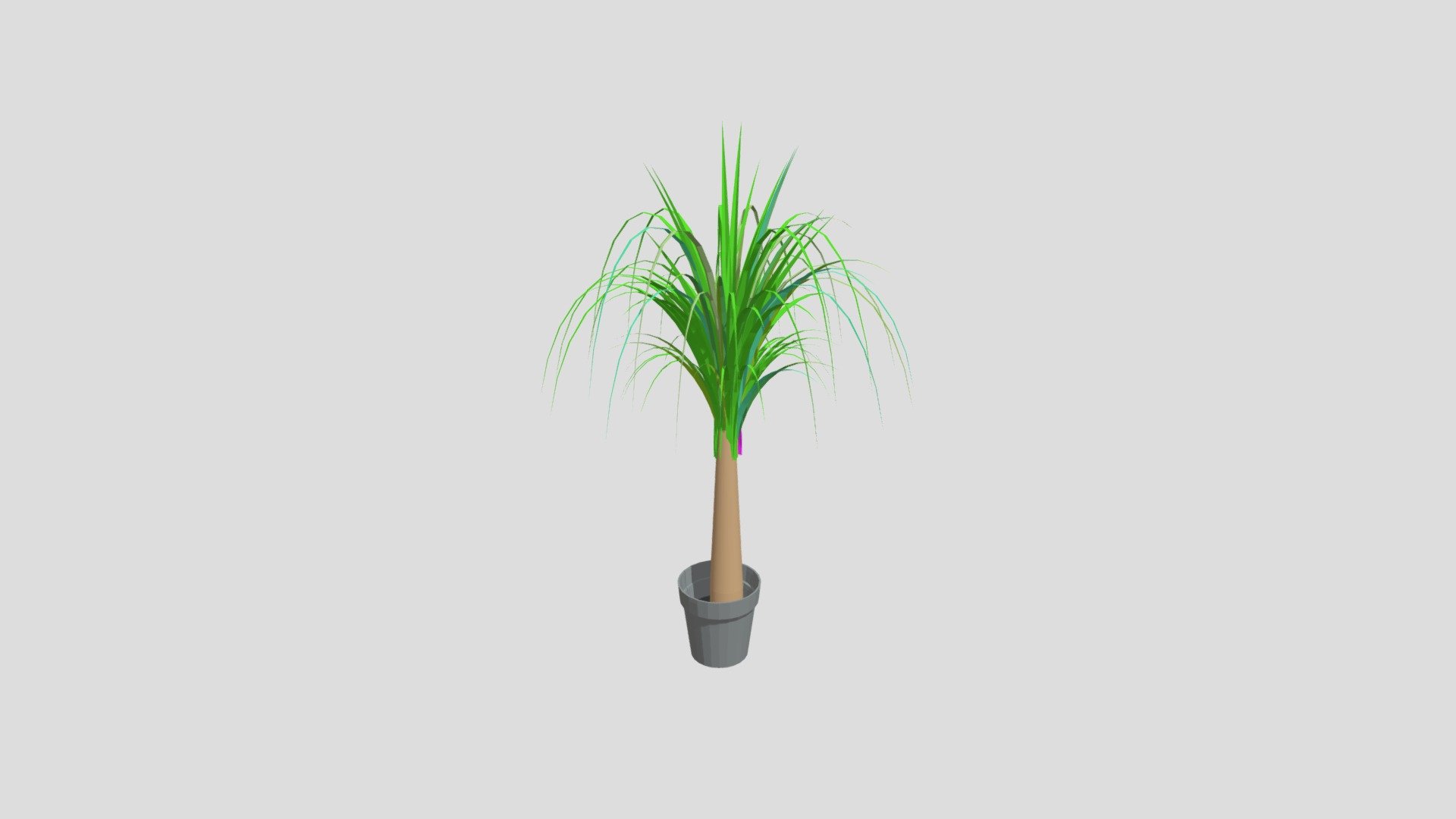 neoned plant
