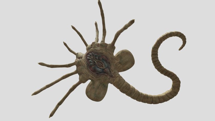 Facehugger (Alien) 3D Model