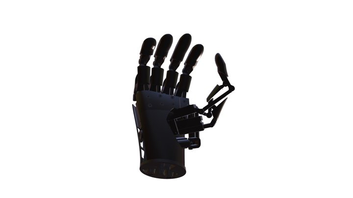 Humanoid Hand - Biomimicry 3D Model