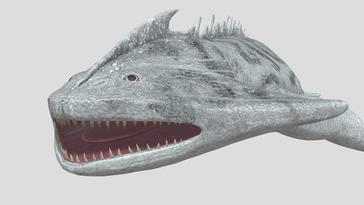 Diplocaulus – Free 3D Model STL