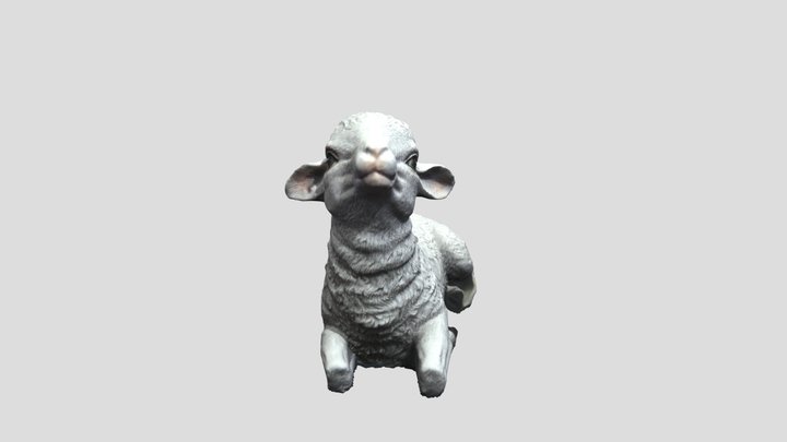 Lamb 3D Model