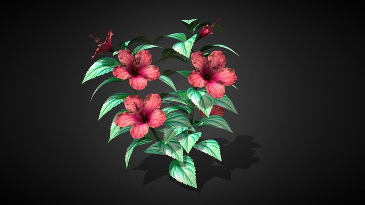 Hibiscus Flower – HQ + LQ, Red & Blue variants 3D Model