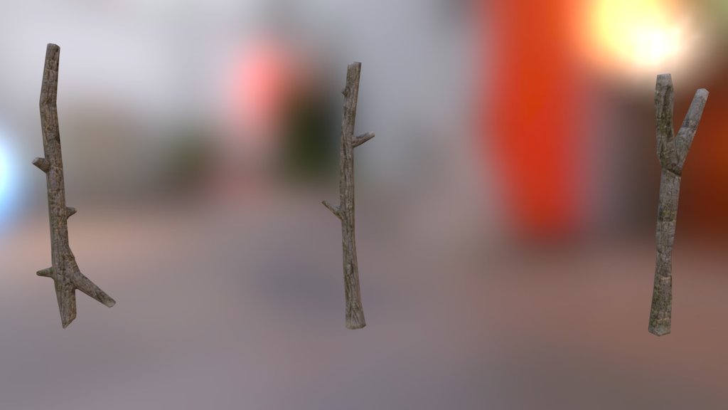 Sticks/Branches