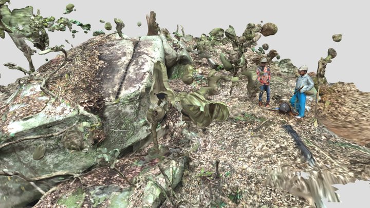 川上石丁場31番石材（佐賀城石丁場） 3D Model
