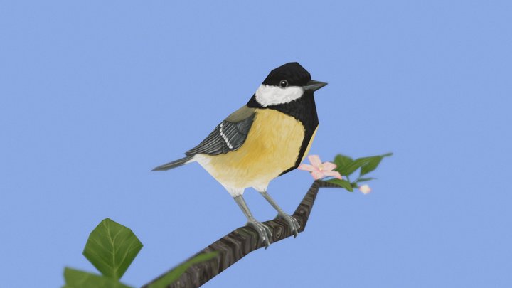 Parus Major low-poly 3D Model