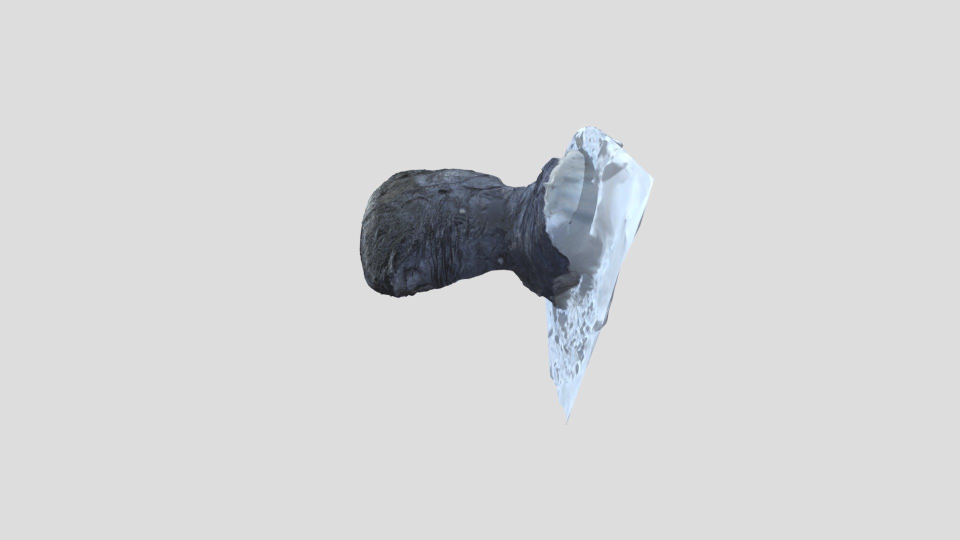 facealgae