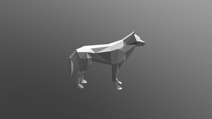 волк 3D Model