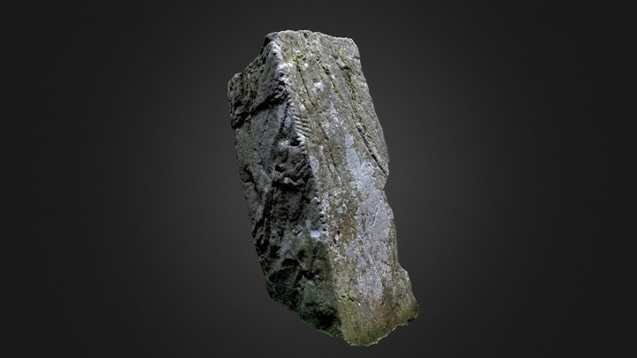Donard Ogham Stone 3D Model