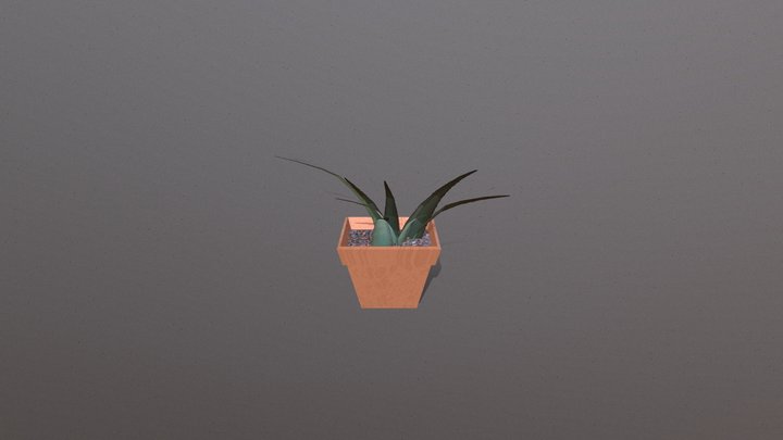 aloe_plantje 3D Model