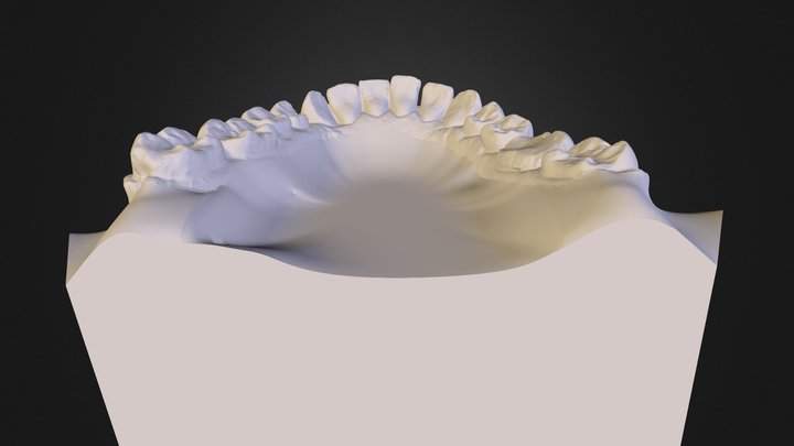 inf 3D Model