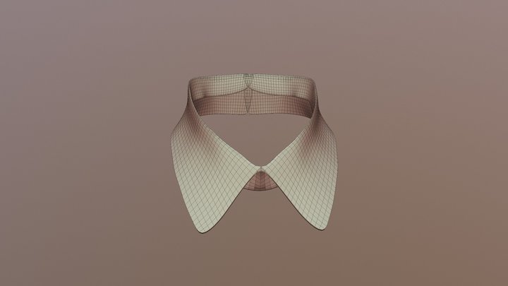 Shirt Collar 3D Model