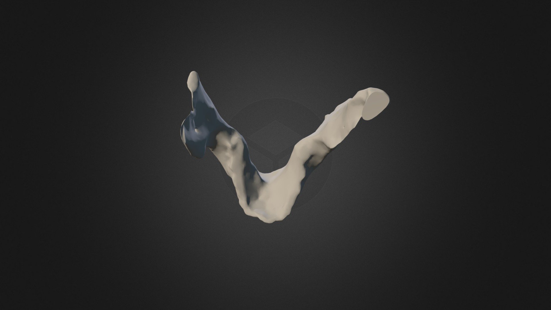 Homo rudolfensis - mandible