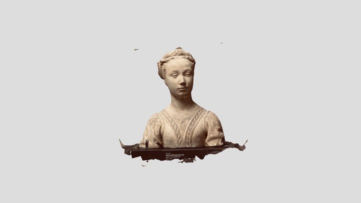 Bust of a young woman (model 2) 3D Model