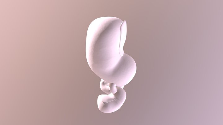 Twumb 3D Model