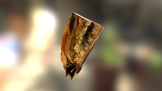 Brisket 3D Model
