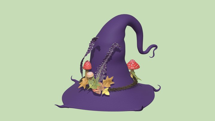 Witch Hat 3D Model