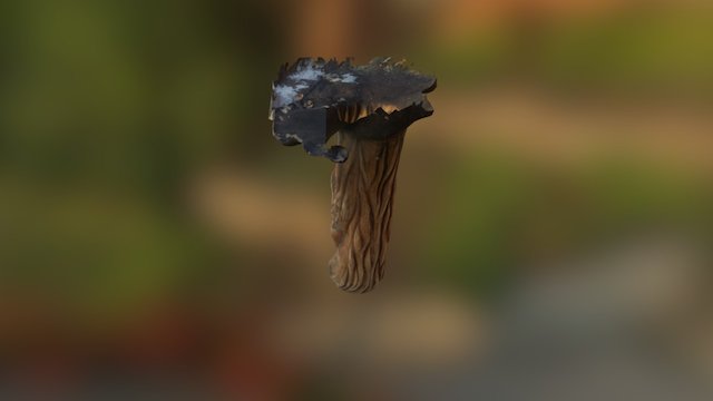 MODEL 3D Model