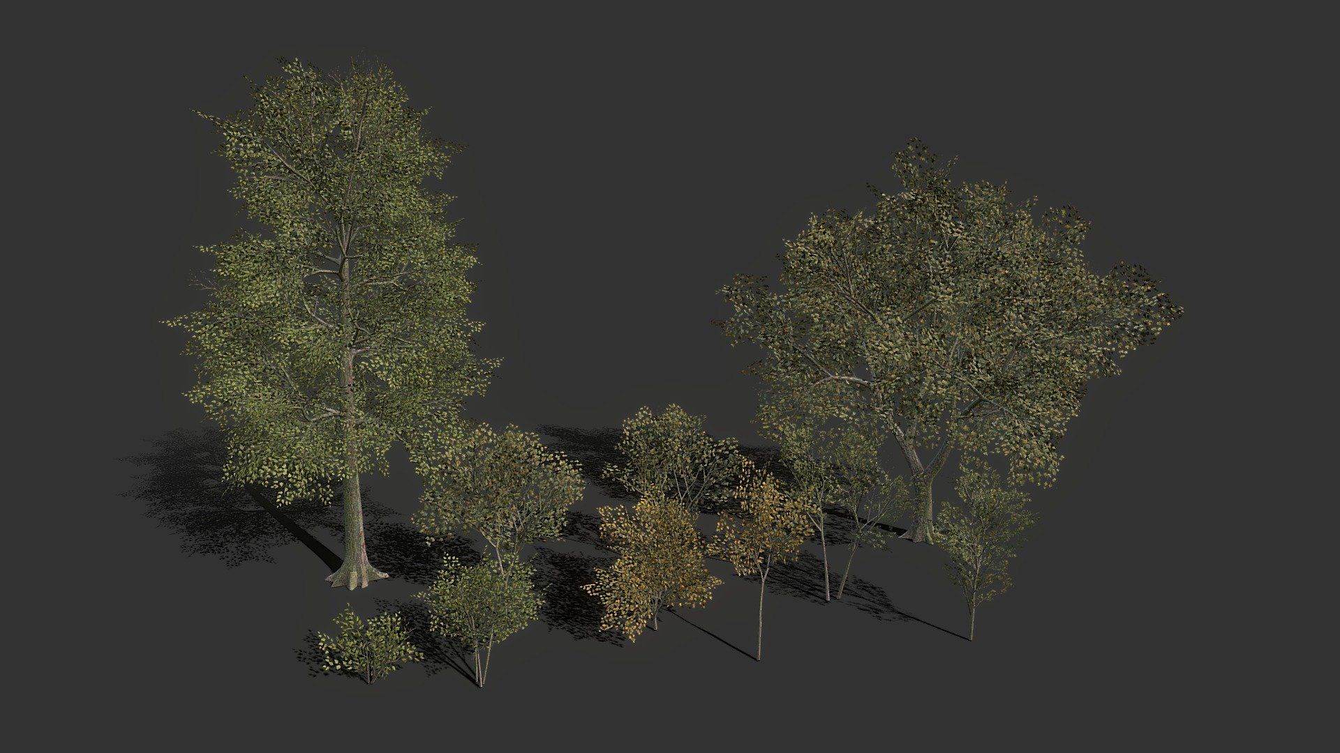 Tree Pack (Optimized) - Buy Royalty Free 3D Model By Yurii Chumak ...