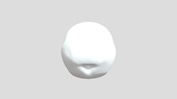 My model 3D Model