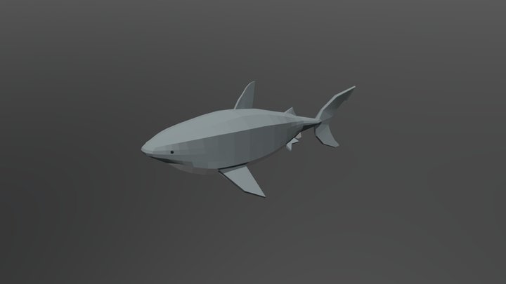Big Shark 3D Model