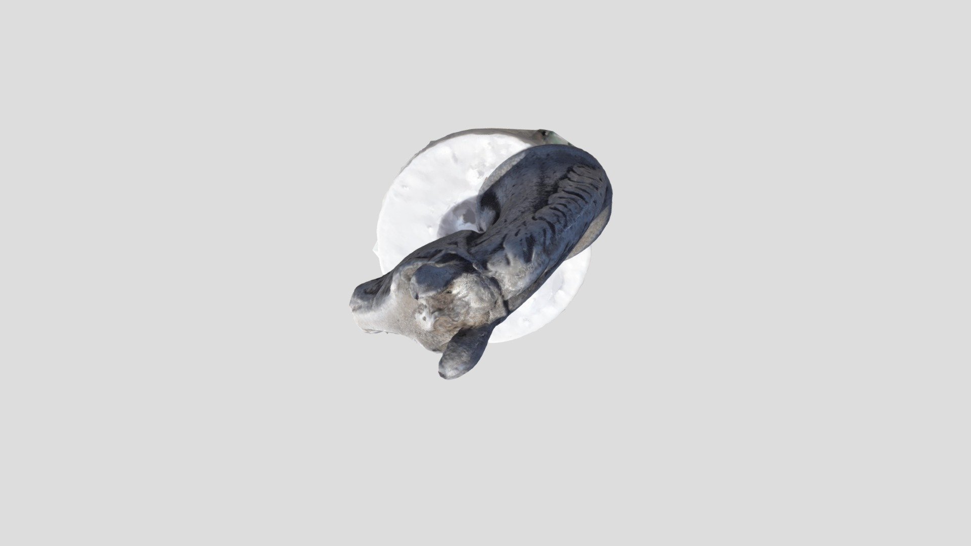 Horse1