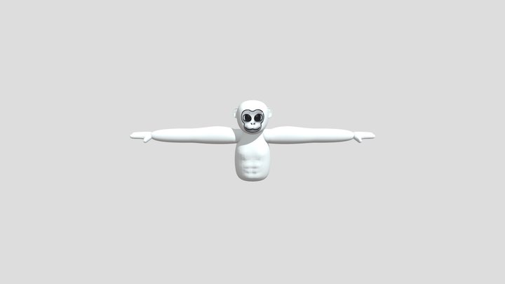player model 3D Model