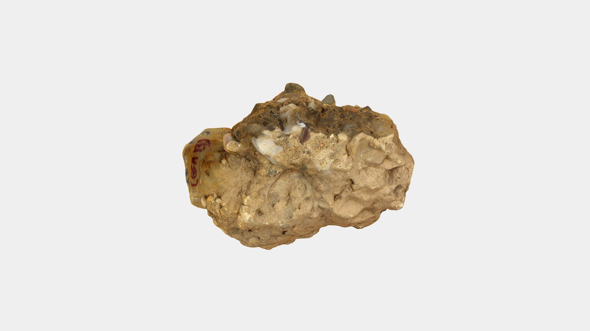 Sedimentary Sample